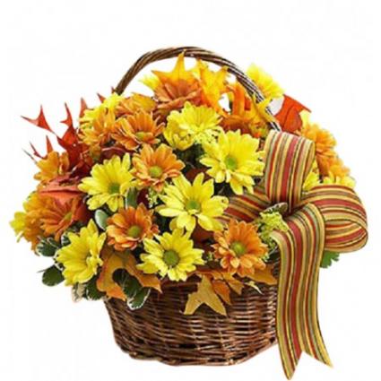 Daisies All Around   FHF-F131 Fresh Flower Arrangement 