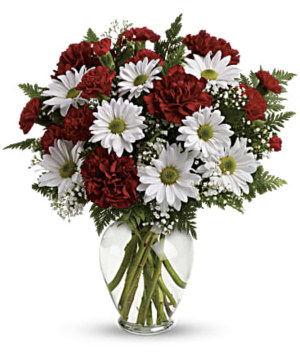 Daisies and carnations 