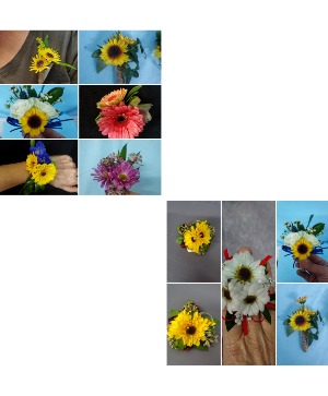 Daisies Prom