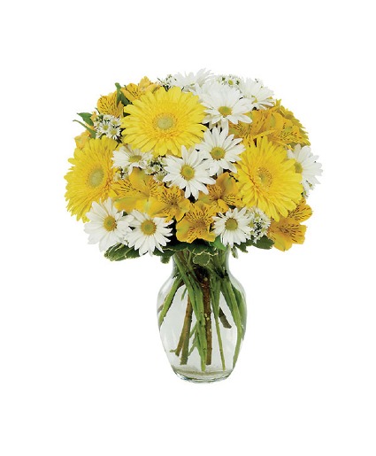 Daisy a Day Bouquet 