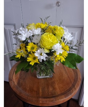 daisy a day just because