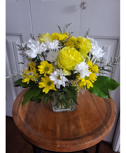 daisy a day just because