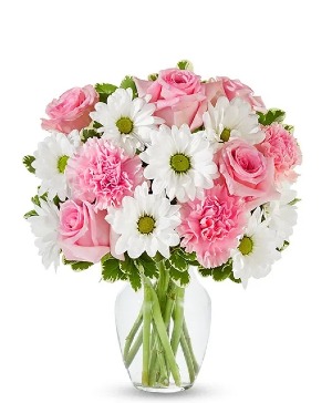Daisy and Rose Delight  
