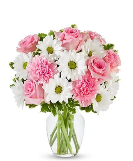 Daisy and Rose Delight  