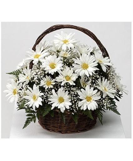 Daisy Basket 