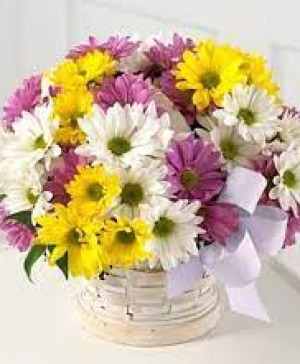 Daisy Basket (Multi Colored) 