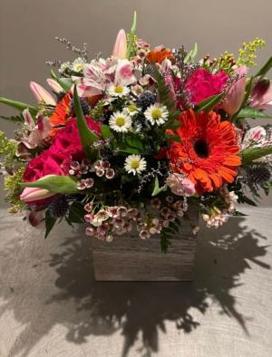 Wild Daisy Day Dream Wooden Box Arrangement