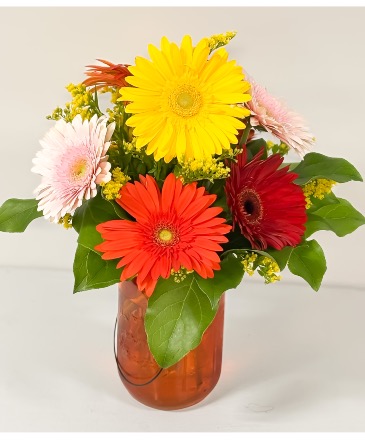 Daisy Daydream Jar Mason Jar in Troy, NY | PAWLING FLOWERS & GIFTS