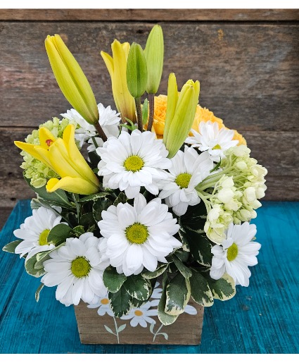 Daisy Days Arrangement 