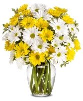 Daisy Days fresh arrangement