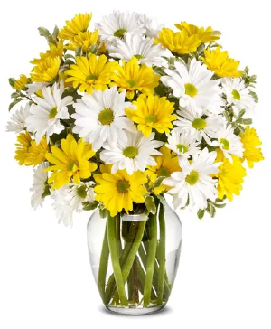 Daisy Days fresh arrangement