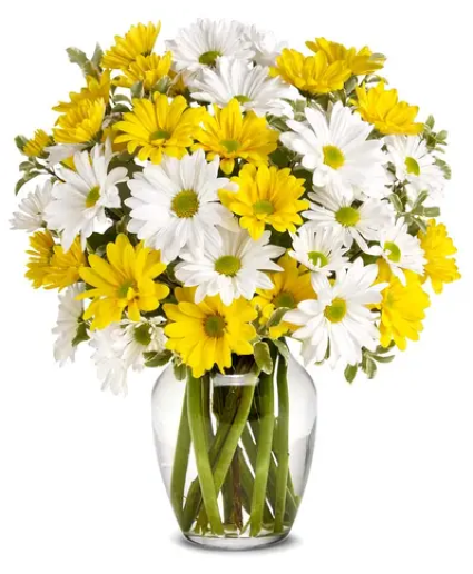Daisy Days fresh arrangement