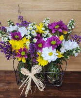 Daisy Days T&V Exclusive 