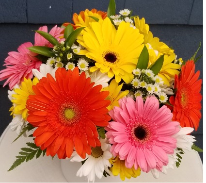 Daisy Delight 