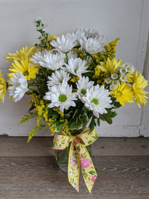 Daisy Delight Fresh Arrangement