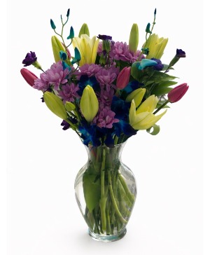 Daisy Delight Mixed spring arrangement