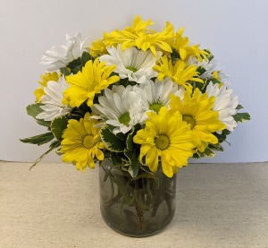 Daisy Delight-NFS-A6 Short clear vase