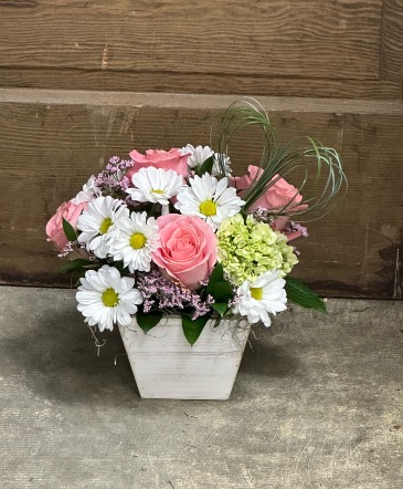 Daisy Dreams  Box Arrangement in Bozeman, MT | BOUQUETS AND MORE