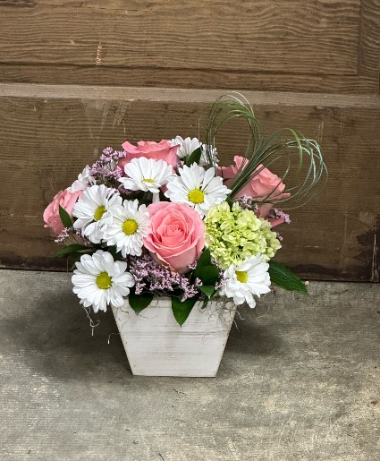 Daisy Dreams  Box Arrangement