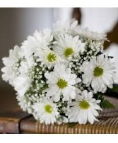 DAISY HANDHELD BOUQUET PROM