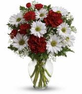 Daisy Red Valentine's