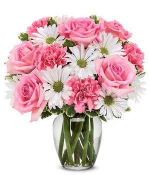 Daisy & Rose Delight 