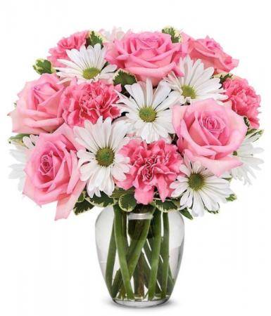 Daisy & Rose Delight 