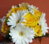 Daisy & Rose Delight Handtied Bouquet