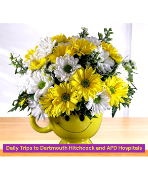 Dunkin' Daisies Ceramic Cup Arrangement