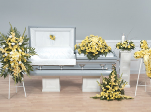 Daisy Tribute 