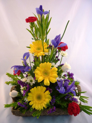 S100 - Daisy Trio Arrangement