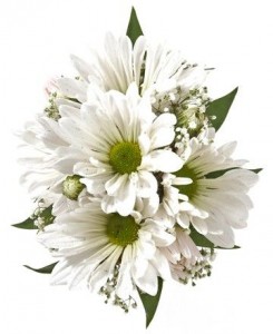 Daisy  Wrist Corsage