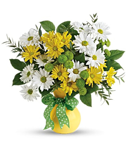 Daisys and Dots 