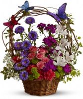 Dancing Butterflies Basket Arrangement