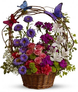 Dancing Butterflies Basket Arrangement