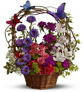 Dancing Butterflies                  TFWEB513 Basket Arrangement