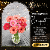 Dancing Daisies Arrangement