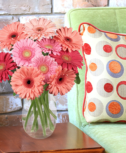 Dancing Daisies Lifestyle Arrangement