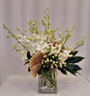 Dancing Dendros Arrangement