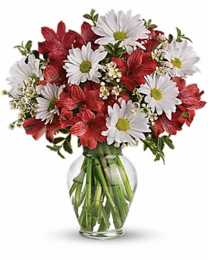 Dancing in Daisies TEV12-3 12"(w) x 13.5"(h)
