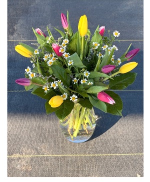 Dancing tulips 