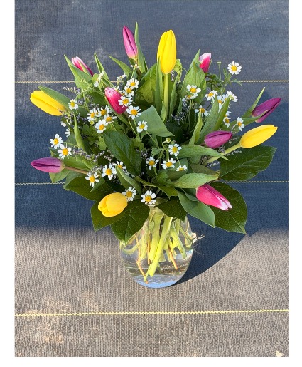 Dancing tulips 