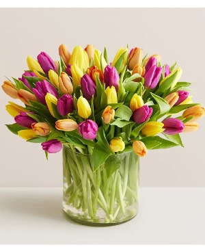 Dancing Tulips Assorted tulips