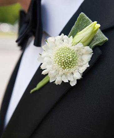 Dashing Boutonniere in Marmaduke, AR | Choco Taco Florist ***TEST SHOP****
