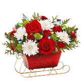 Dashing Through The Snow Sleigh 