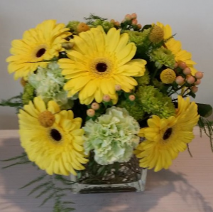 Dasies Flower arrangement