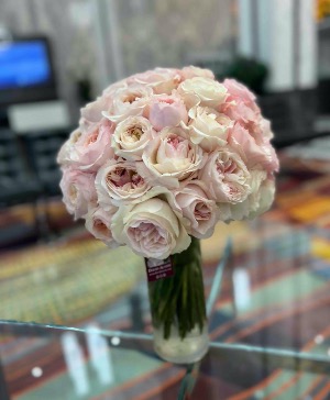 David Austin Rose-Keira 