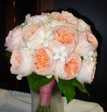 David Austin Roses English Roses