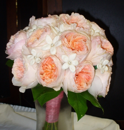 David Austin Roses English Roses