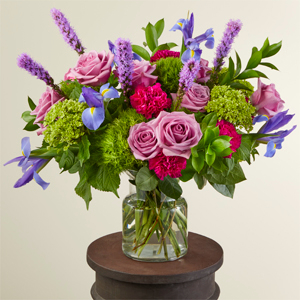 Daydream 22-M4d Arrangement